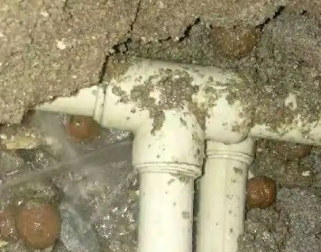 思明测漏水多少钱