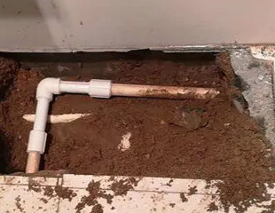 思明测漏水哪家好