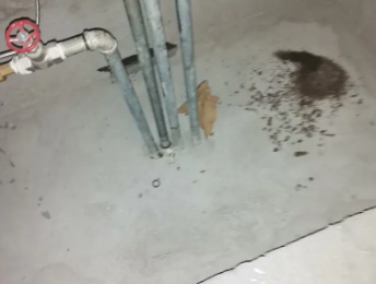 思明卫生间测漏水价格明细