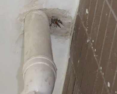 思明漏水检测哪家好